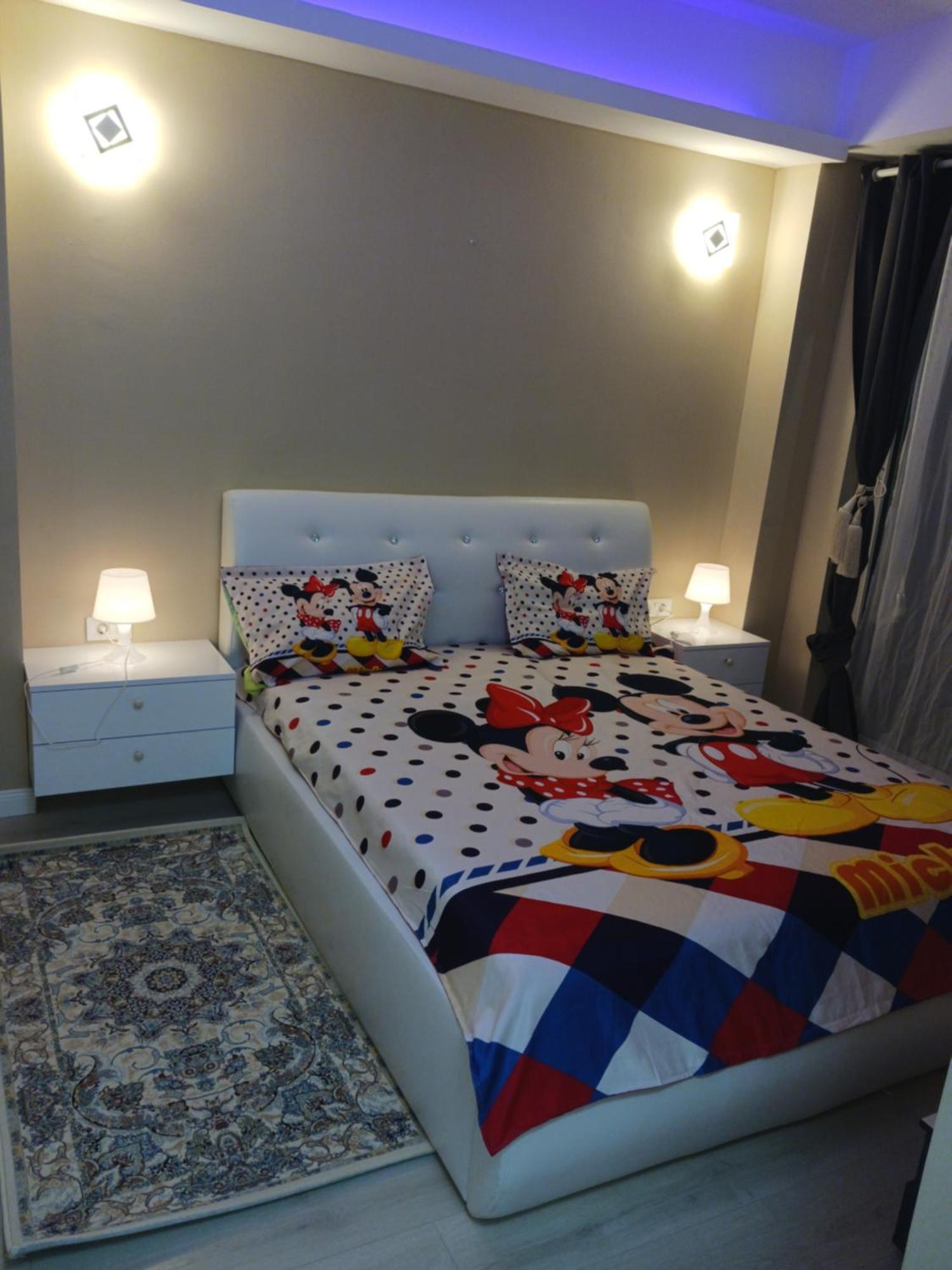 Myky Mouse Nu Primesc Santieristi Si Petrecareti Appartement Boekarest Buitenkant foto
