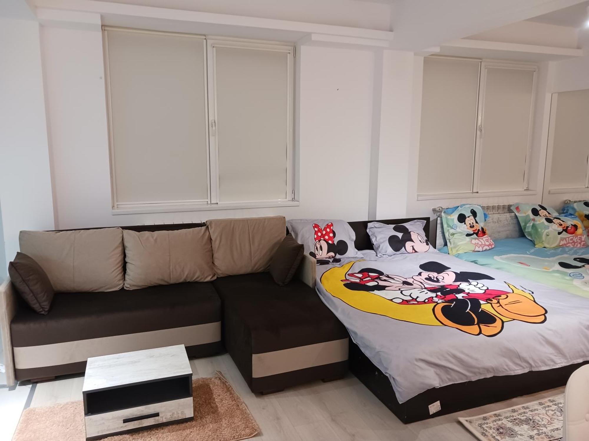Myky Mouse Nu Primesc Santieristi Si Petrecareti Appartement Boekarest Buitenkant foto