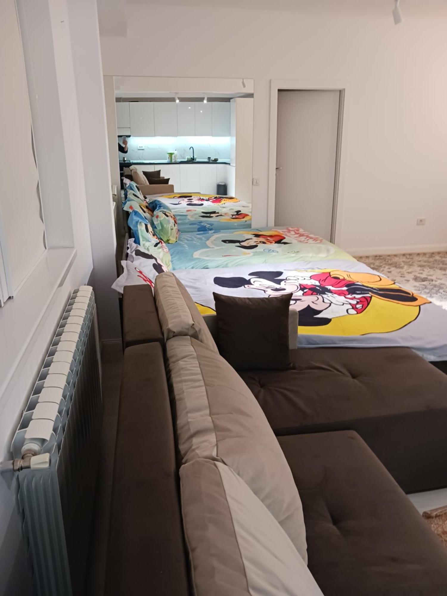 Myky Mouse Nu Primesc Santieristi Si Petrecareti Appartement Boekarest Buitenkant foto
