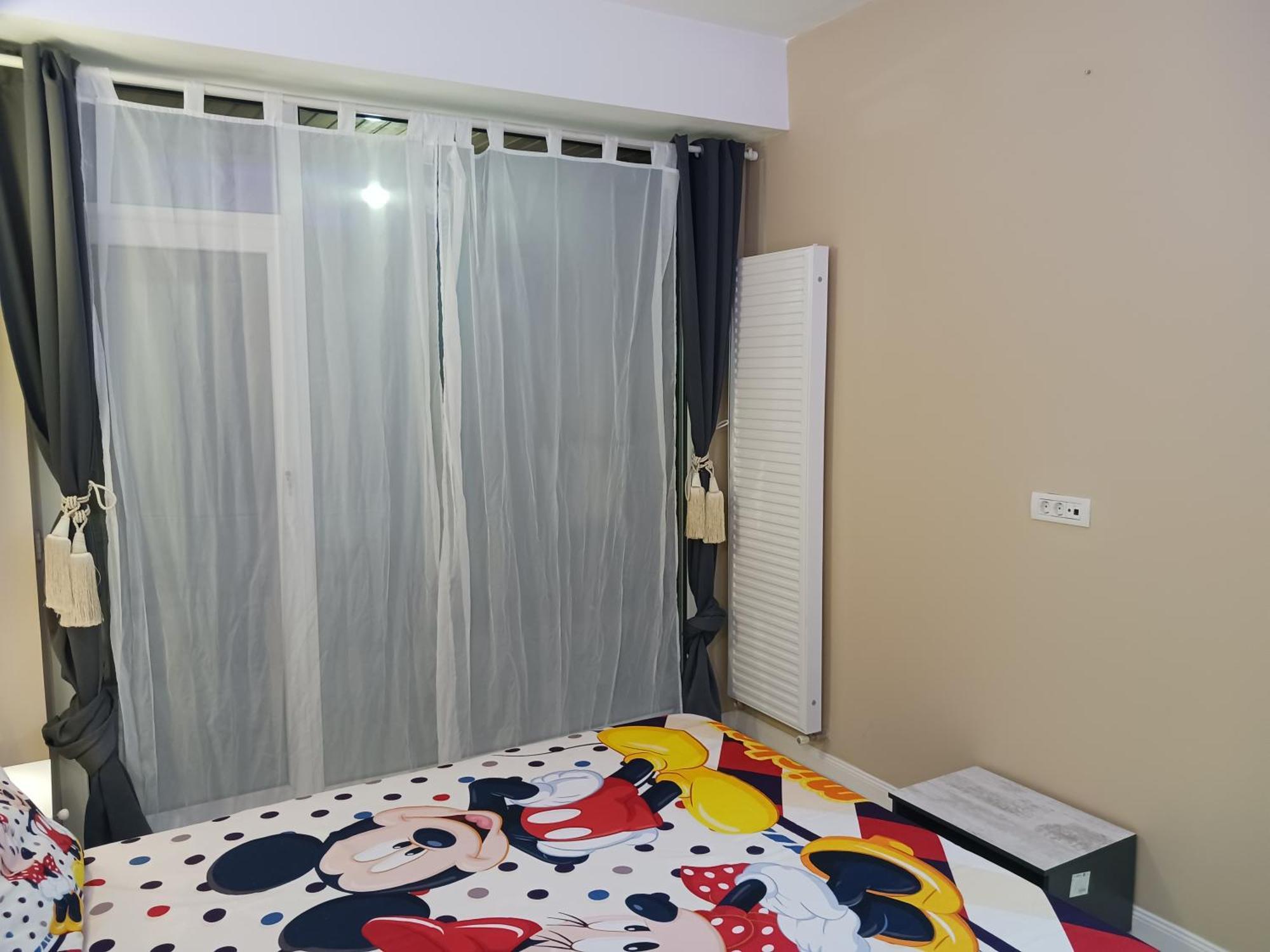 Myky Mouse Nu Primesc Santieristi Si Petrecareti Appartement Boekarest Buitenkant foto