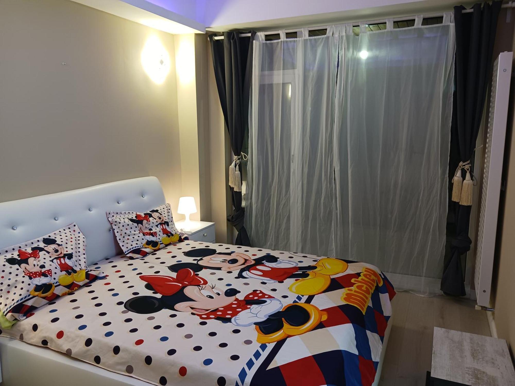 Myky Mouse Nu Primesc Santieristi Si Petrecareti Appartement Boekarest Buitenkant foto