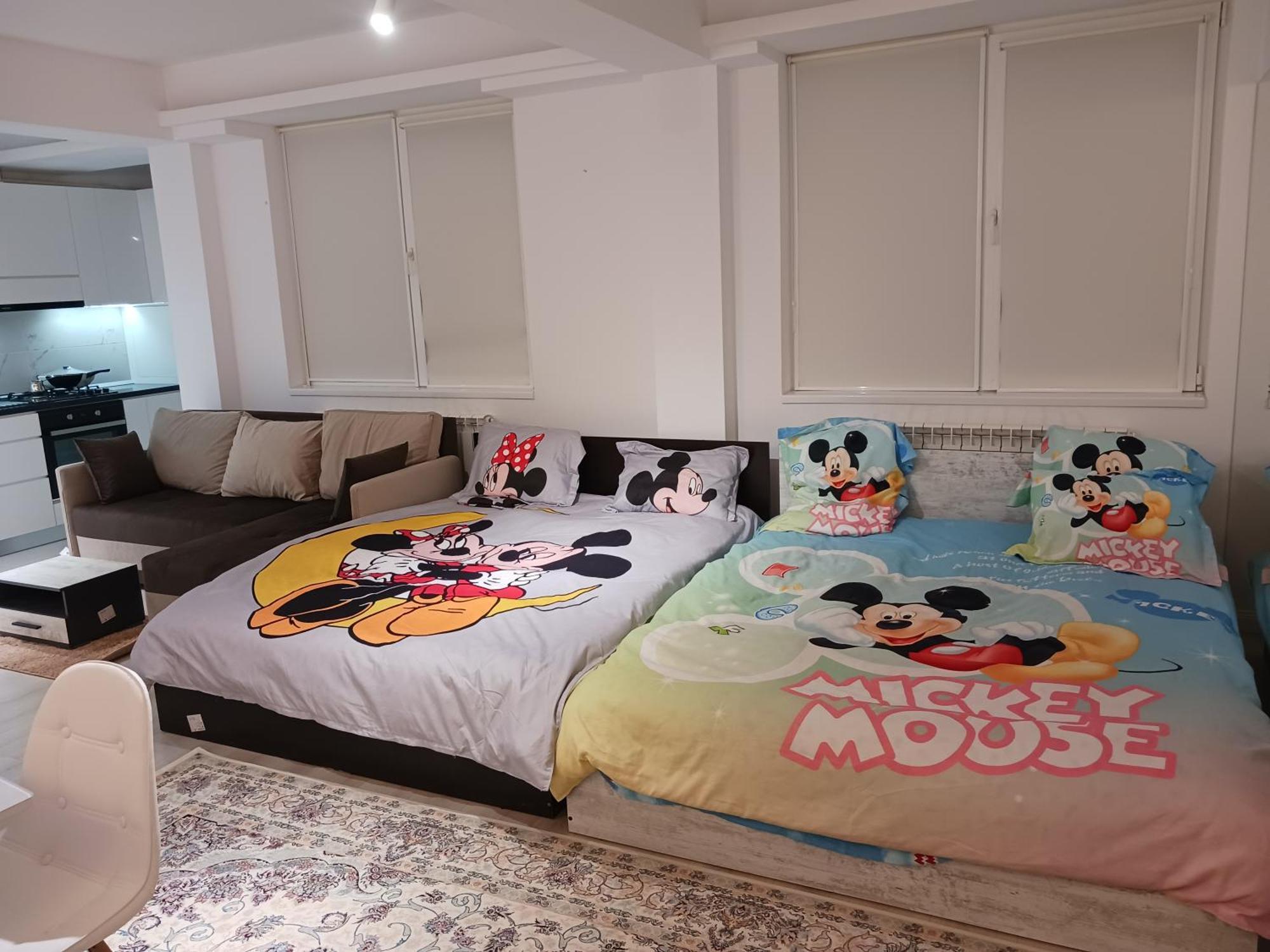 Myky Mouse Nu Primesc Santieristi Si Petrecareti Appartement Boekarest Buitenkant foto
